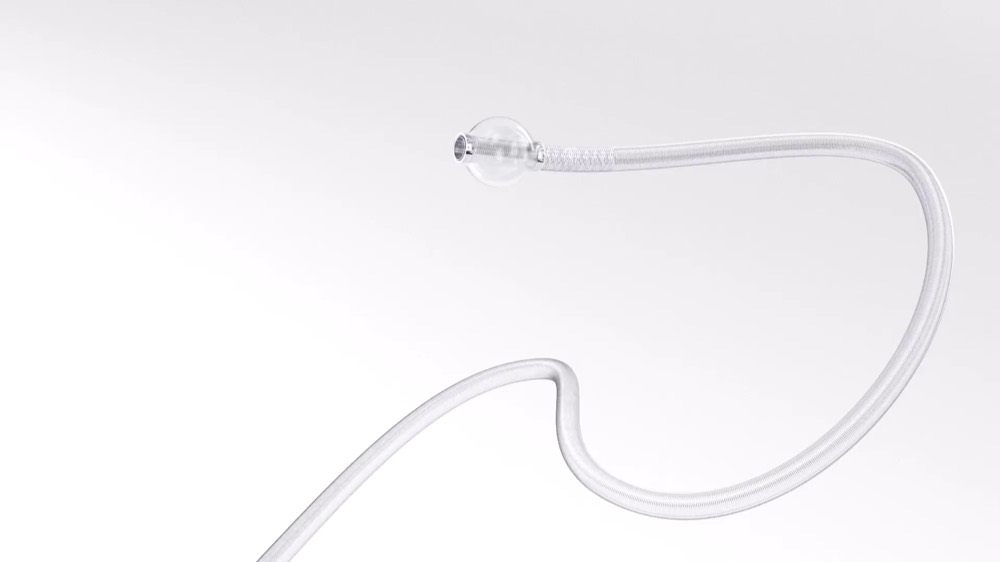 BOBBY Access Catheter — Terumo Neuro