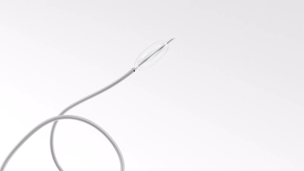 Scepter C & XC — Terumo Neuro